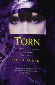 Torn (Torn, Bk 1)