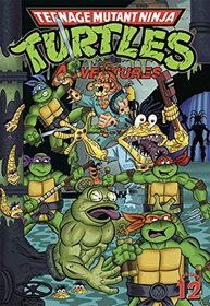 Teenage Mutant Ninja Turtles Adventures Volume 12