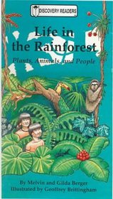 Life in the Rainforest