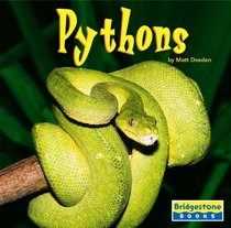 Pythons (World of Reptiles)