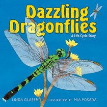 Dazzling Dragonflies: A Life Cycle Story (Linda Glaser's Classic Creatures)