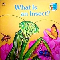 What Is an Insect? (Child's Golden Science Books)