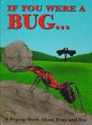 If You Were a Bug: A Pop-Up Book About Bugs and You (Pop-Out Books)