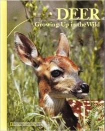 Deer:  Growing Up in the Wild (Books for Young Explorers)