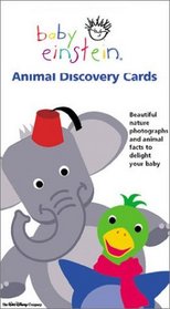 Baby Einstein: Animal Discovery Cards : Beautiful Nature Photographs and Animal Facts to Delight Your Tots (Baby Einstein)