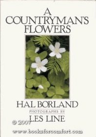 Countryman's Flowers