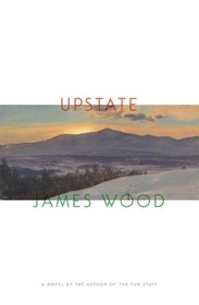 Upstate: A Novel