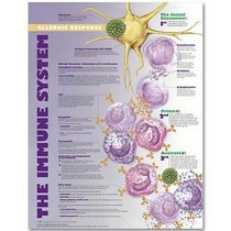 The Immune System: Allergic Response Anatomical Chart