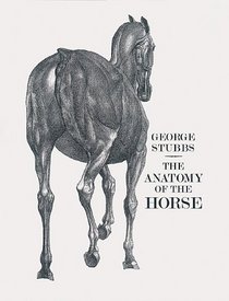 Anatomy of the Horse