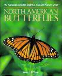 North American Butterflies (National Audubon Society Collection: Nature)