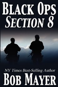 Section 8 (Shadow Warriors)