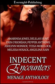 Indecent Encounters