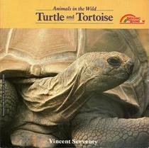 Turtle and Tortoise (Animals in the Wild)