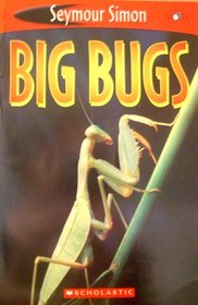 Big Bugs