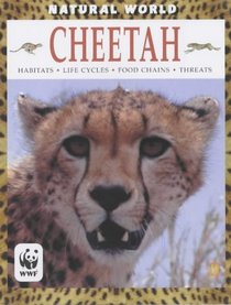 Cheetah (Natural World)