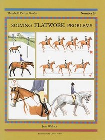 Solving Flatwork Problems (Threshold Picture Guides, No 25)