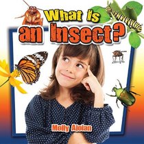 What Is an Insect? (Insects Close-Up)