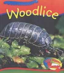 Woodlice (Little Nippers: Creepy Creatures)