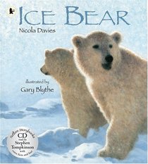 Ice Bear