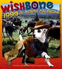 Wishbone Dog a Day