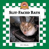 Slit-Faced Bats (Bats Set II)