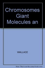 Chromosomes Giant Molecules an