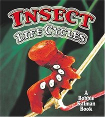 Insect Life Cycles (The World of Insects)