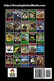 Jaguars For Kids
