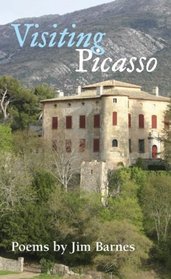 Visiting Picasso (Illinois Poetry Series)