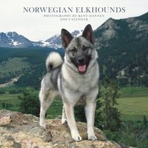 Norwegian Elkhounds 2008 Square Wall Calendar (German, French, Spanish and English Edition)
