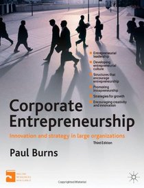 Corporate Entrepreneurship: Entrepreneurship and Innovation in Large Organizations