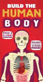 Build the Human Body (Build the Skeleton)