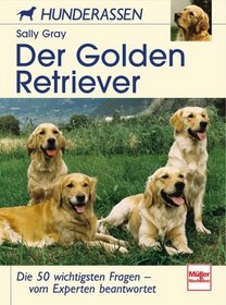 Der Golden Retriever. Hunderassen.