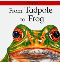 From Tadpole To Frog (Turtleback School & Library Binding Edition) (Lifecycles)
