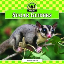 Sugar Gliders (Unique Pets)