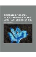 Incidents of gospel work;  shewing how the Lord hath led me, by C.S.