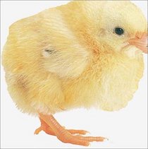 Chick (Animal-Shaped Board Book)