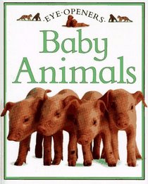 Baby Animals (Eye Openers)