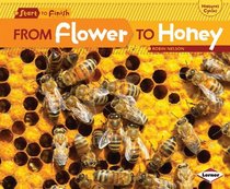 From Flower to Honey (Start to Finish: Nature's Cycles) (Start to Finish, Second Series: Nature's Cycles)