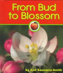 From Bud to Blossom (Pebble Books)