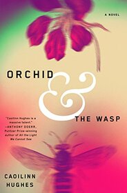 Orchid & the Wasp Mr Exp