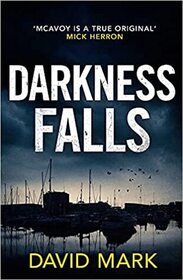 Darkness Falls (Detective Sergeant McAvoy, Bk 0.5)