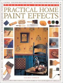 Practical Home Paint Effects (Practical Handbooks (Lorenz))