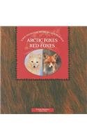 ARCTIC FOXES & RED FOXES (DOMINIE WORLD OF ANIMALS)