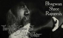 The Wild Geese and The Water: Responses to Questions from Disciples and Visitors