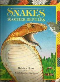 Snakes and other reptiles