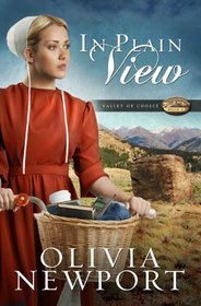 In Plain View (Valley of Choice, Bk 2)