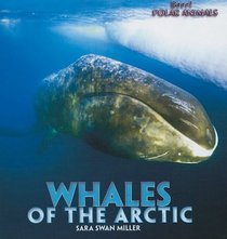 Whales of the Arctic (Brrr! Polar Animals)