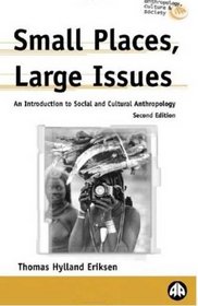 Small Places, Large Issues - Second Edition : An Introduction to Social and Cultural Anthropology (Anthropology, Culture and Society)