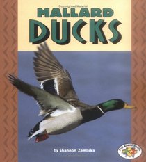 Mallard Ducks (Pull Ahead Books)